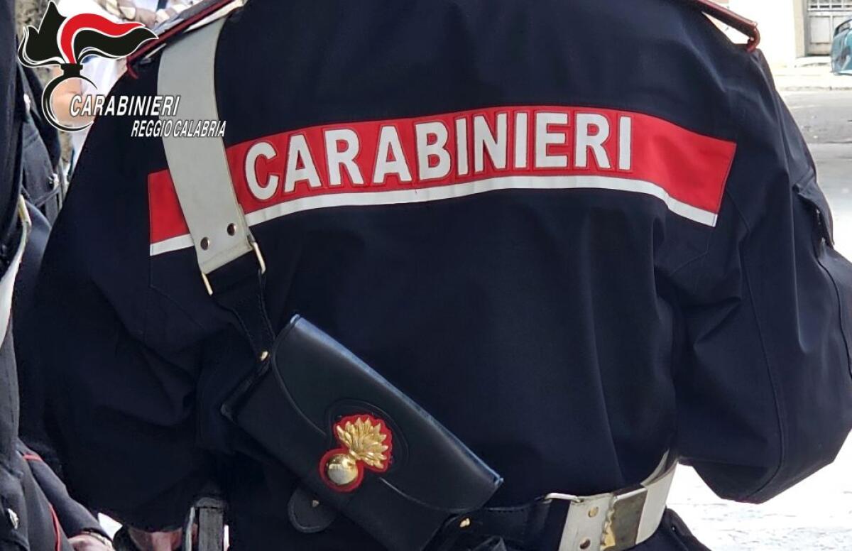 Carabinieri scoprono 80 Kg di droga e 15 Kg esplosivi nel reggino - 