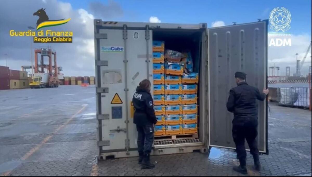 Blitz nel porto di Gioia Tauro, sequestrati oltre 780 chili di cocaina -