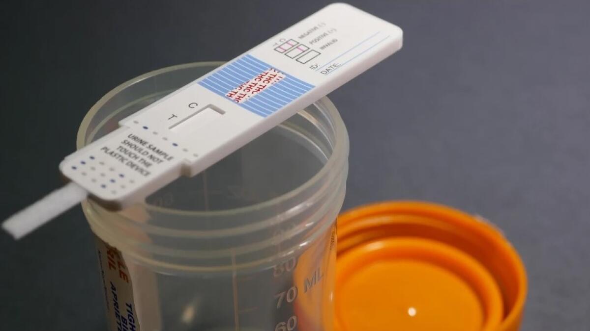 Allarme Coca, il Comune lancia i test antidroga per gli amministratori - 