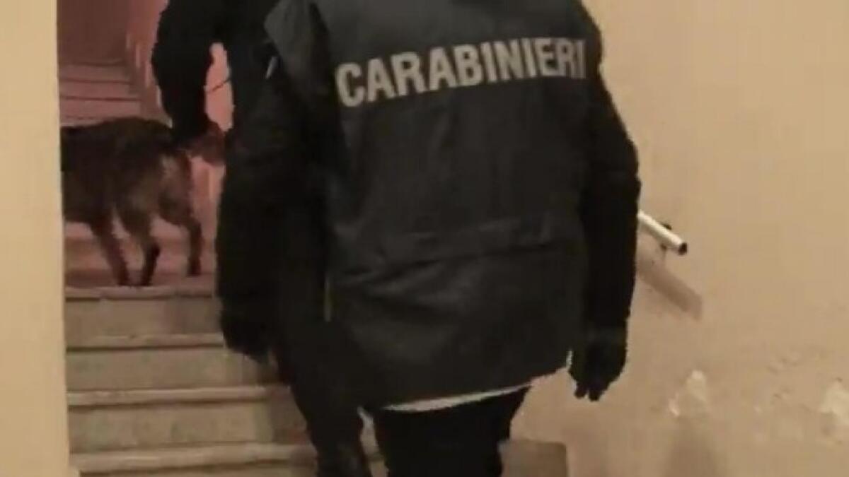 Inchiesta su mafia e droga, per Rapisarda e Grillo atti alla procura di Marsala - 