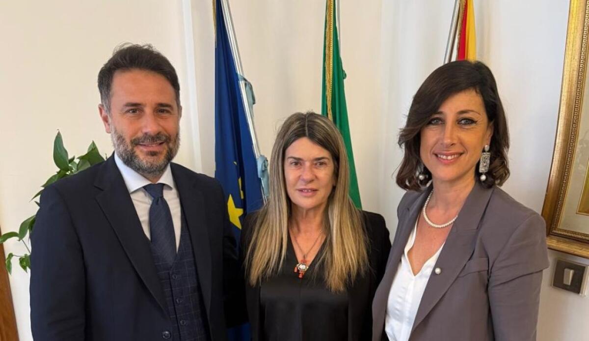 Rilancio turistico, Morselli e Di Paola dall'assessore Amata: "Collaborazione per la città" - 