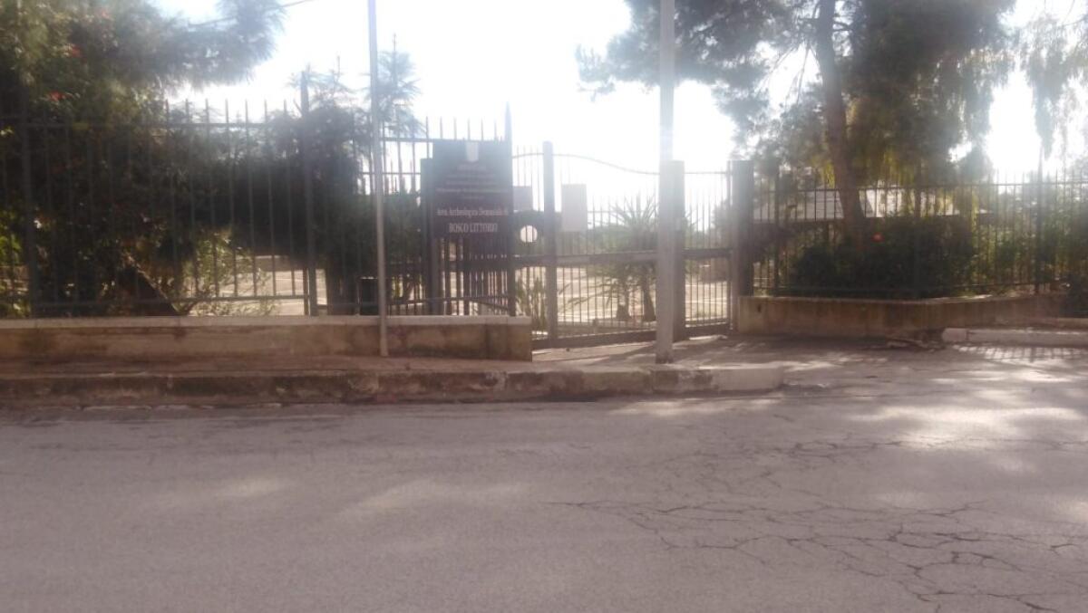 Cittadini attivi: "Si renda fruibile l'intera area di Bosco Littorio" - 