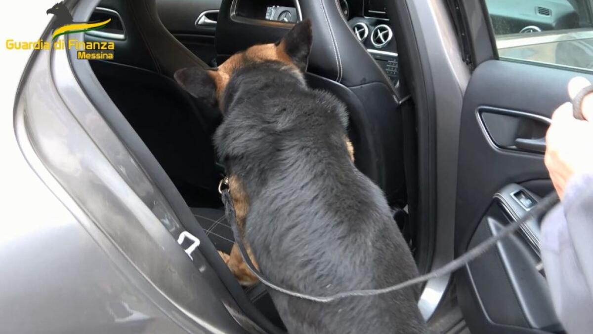 Controlli antidroga a Messina, sequestrati 2 kg cocaina e 40 kg hashish - 