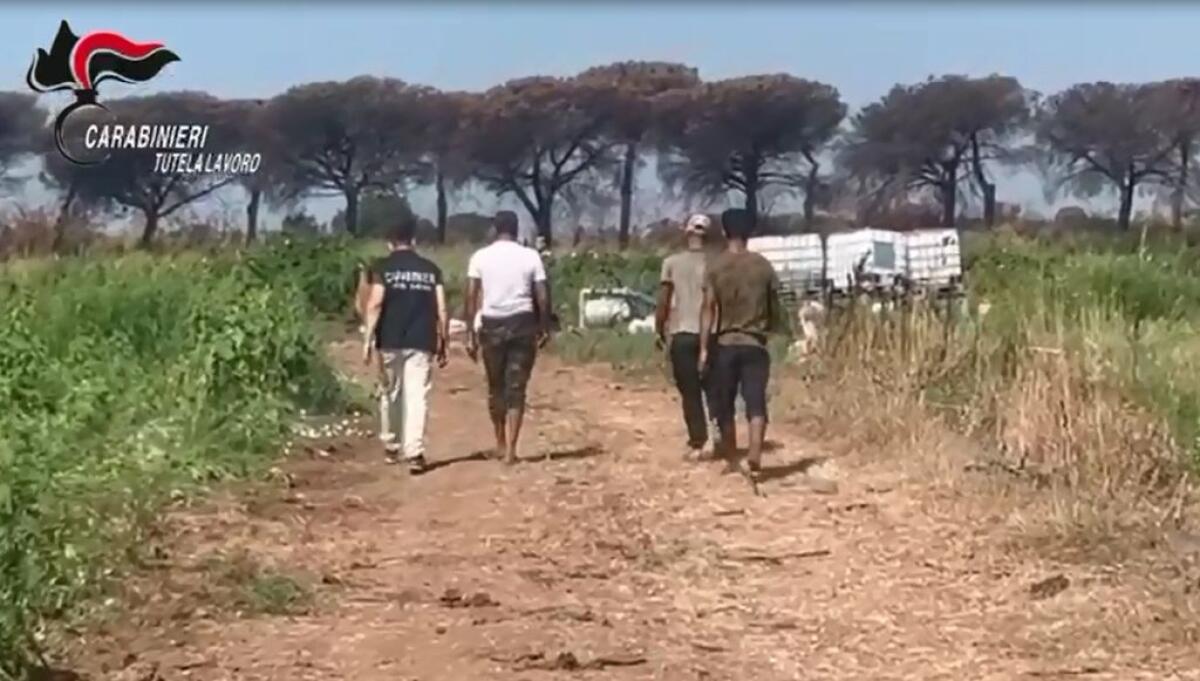 Corruzione e immigrazione clandestina, 36 arresti in Campania -