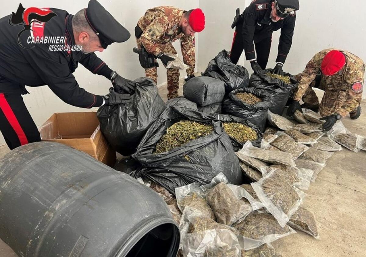 Più di 30 kg di marijuana nascosti in casa nella Locride, un arresto - 