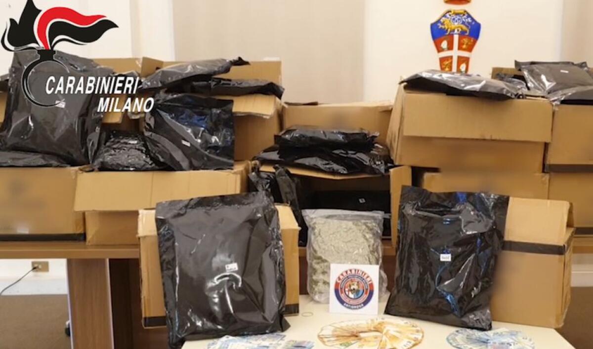 Blitz contro il narcotraffico, 12 arresti e 17 fermi - 