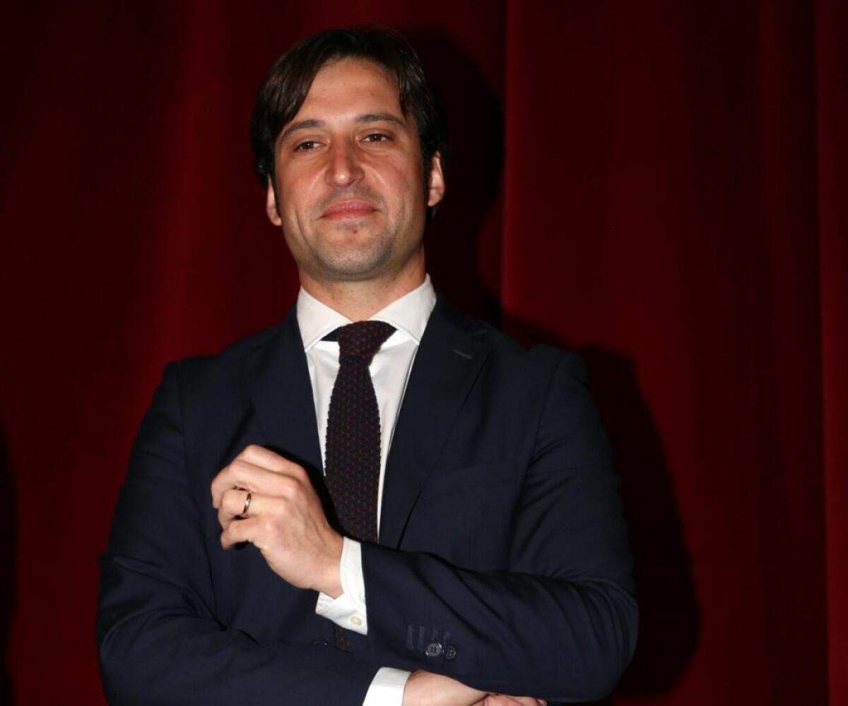 Cani avvistati nella zona della Kalsa a Palermo, Ferrandelli “Condotti al canile” - 