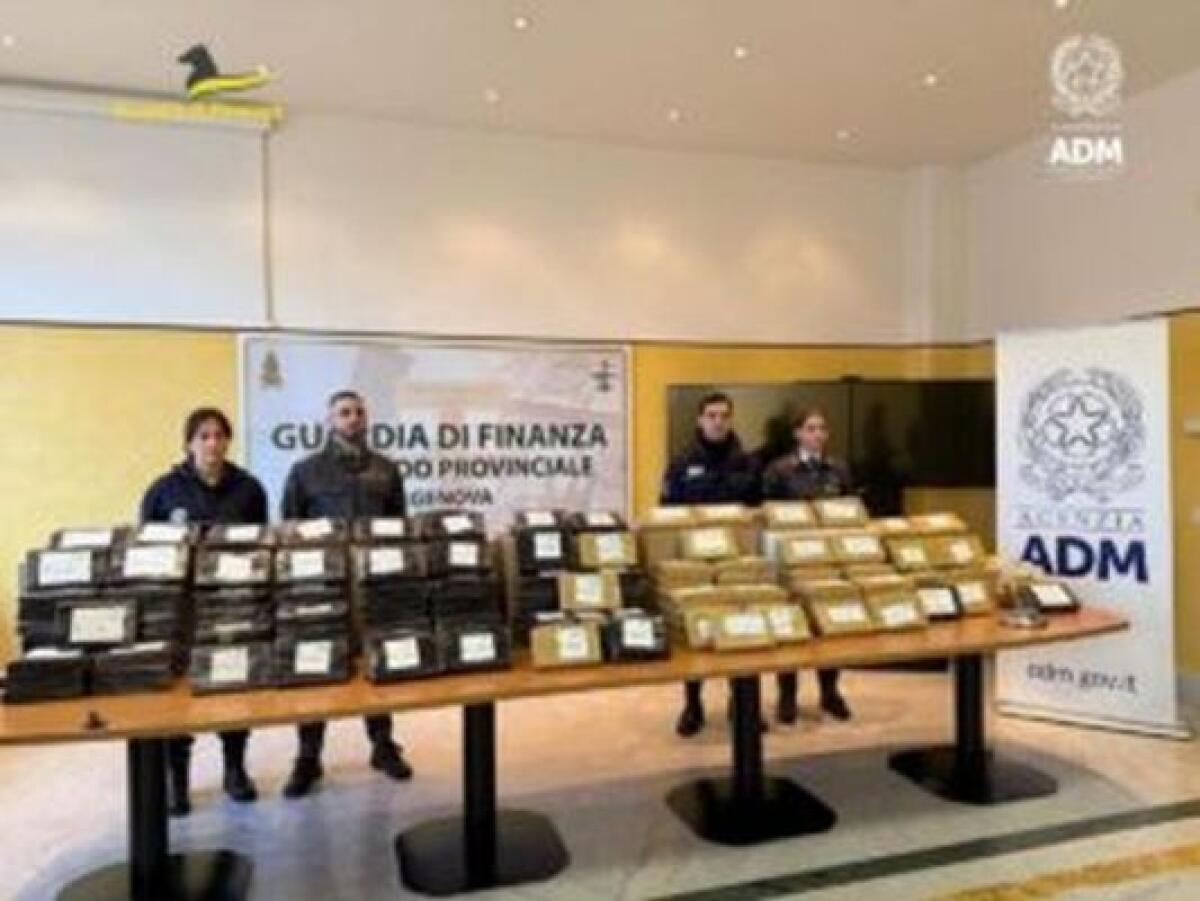 Blitz al porto di Genova, sequestrati 240 chili di cocaina - 