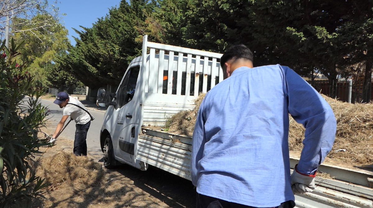 Verde pubblico : al via il nuovo piano settimanale - 