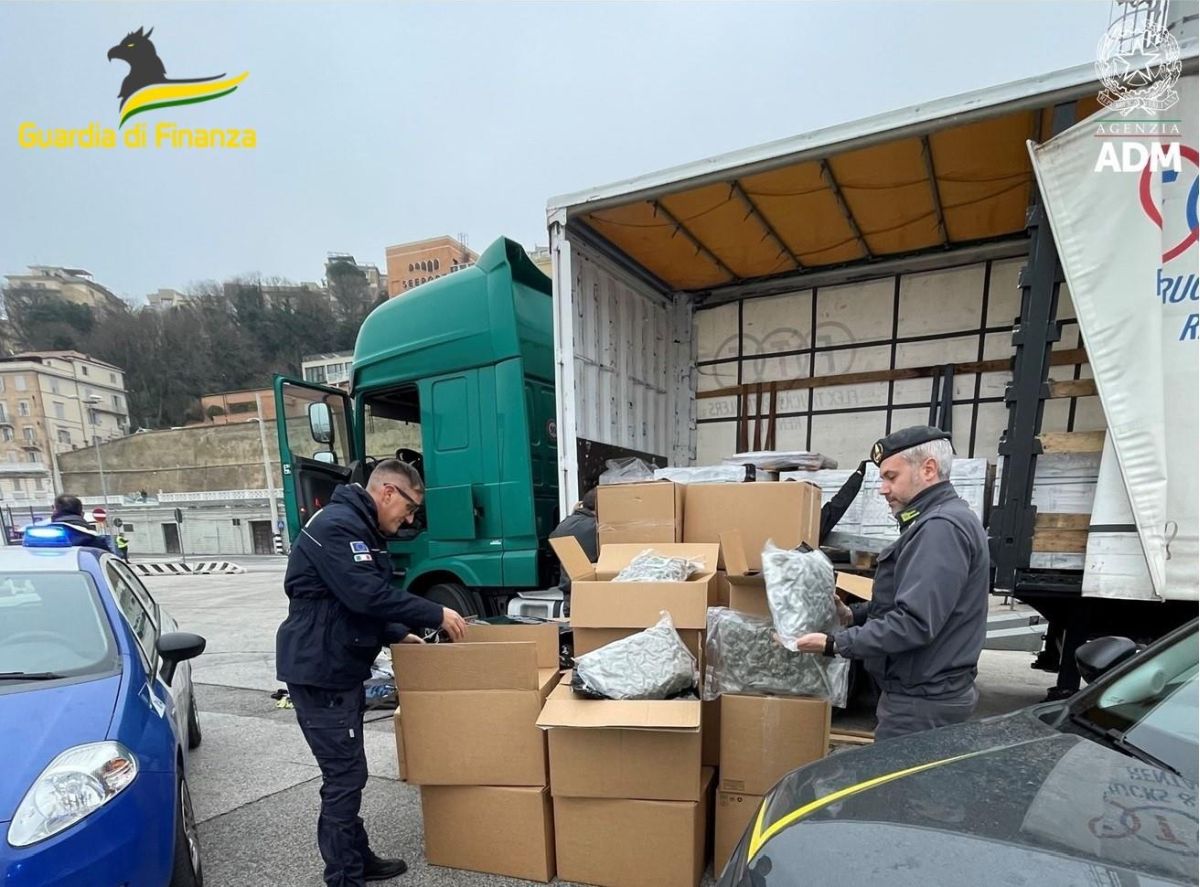 Sequestrati al porto di Ancona 163 kg di droga, un arresto - 