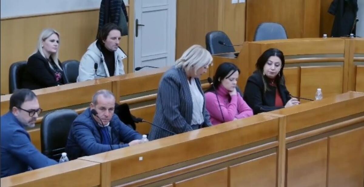 Maggioranza e ruggini, dall'opposizione: "Castellana nervoso, non rispetta le opinioni altrui" -