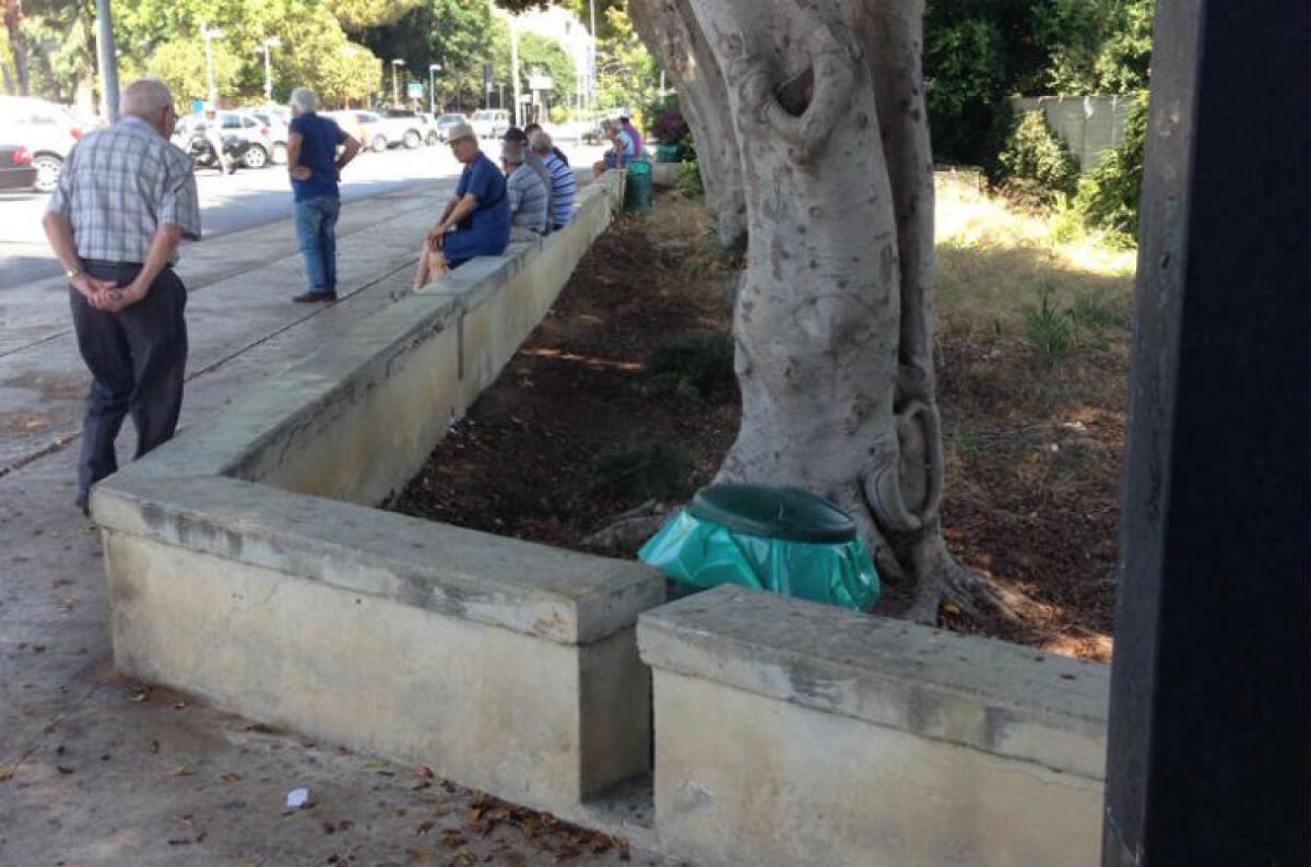 Macchitella, comitato: "I lavori per il verde devono essere più efficienti" - 