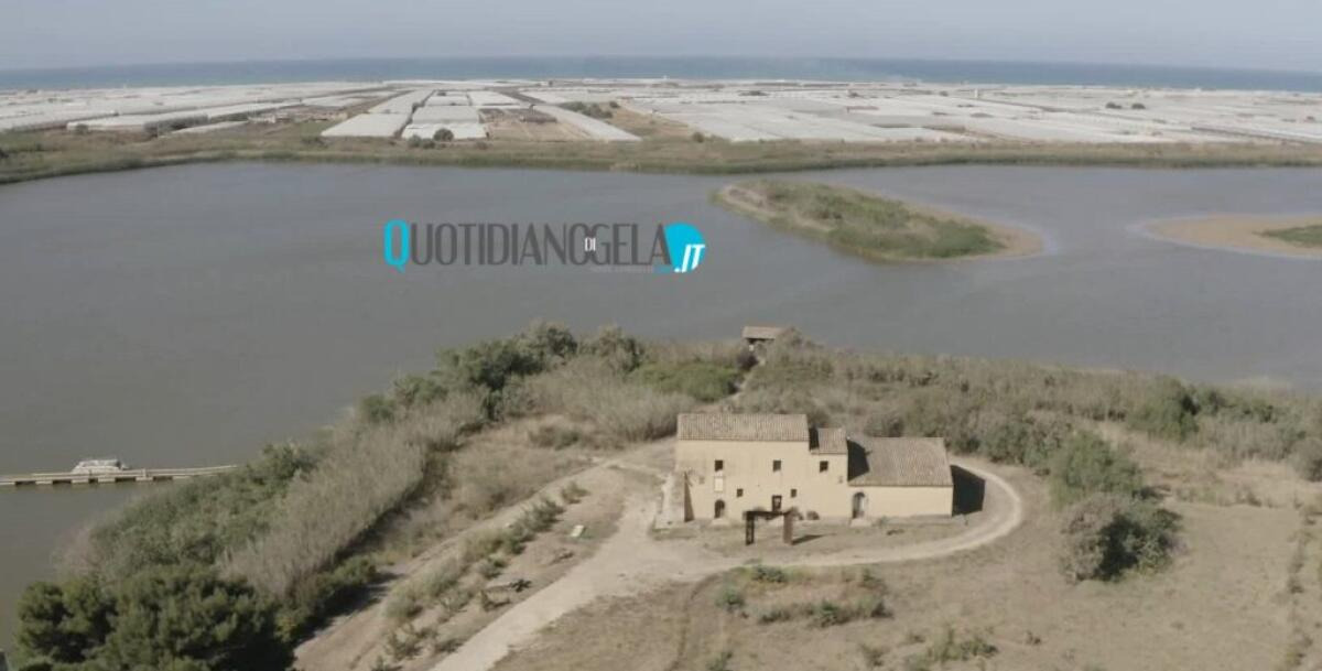 Biviere, Vinca per il piano di indagini integrative: "Si apra tavolo con il Comune" - L'area della Riserva Biviere