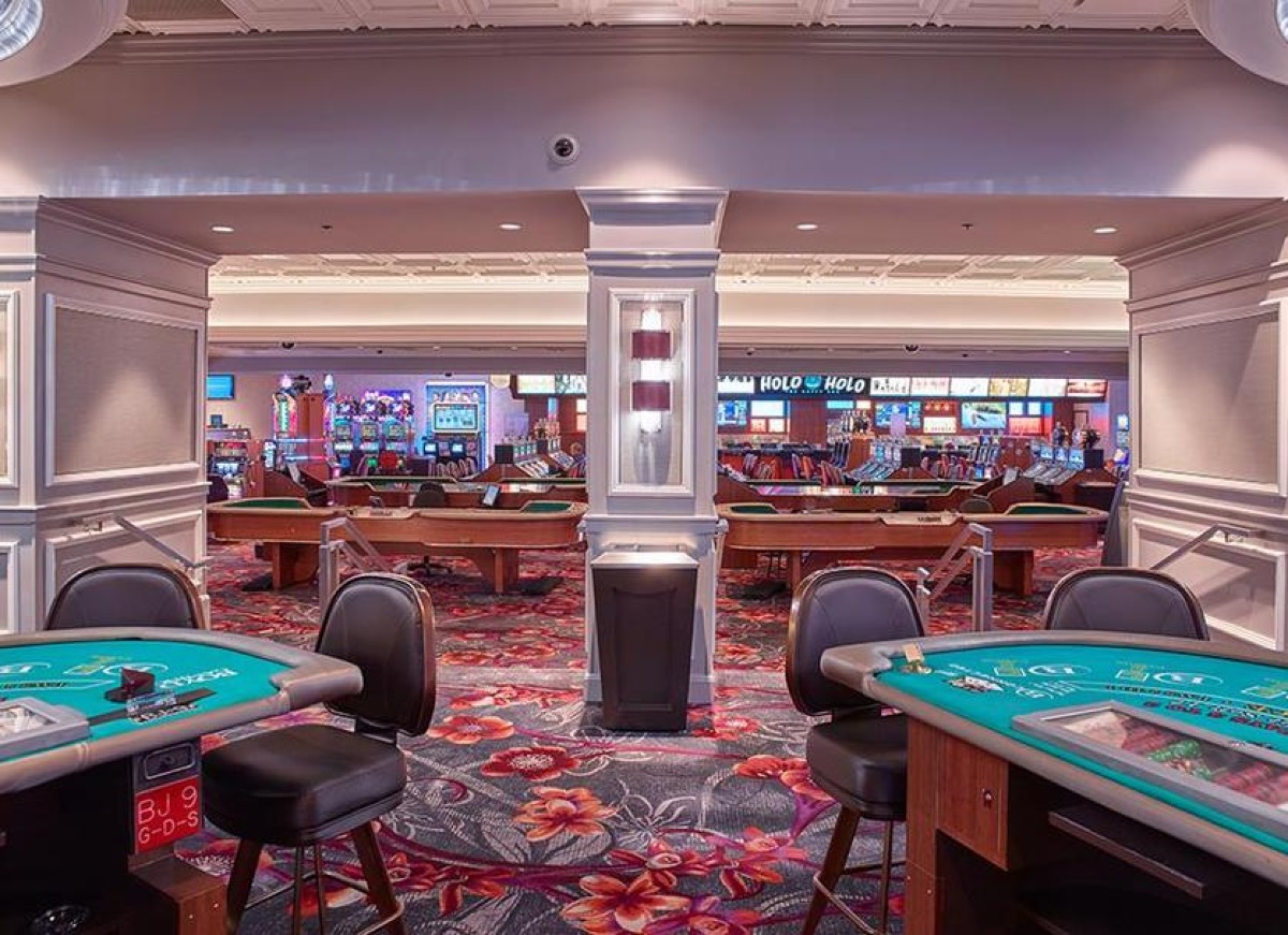 Esperienze live virtuali: come scegliere le più adatte a te - foto fonte Kajak