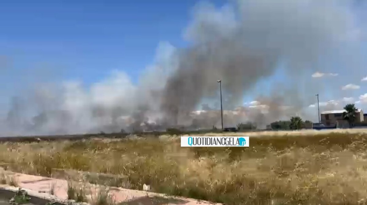 Vasto rogo in aree incolte, nella zona di via Venezia si è alzata una nube di fumo  - 