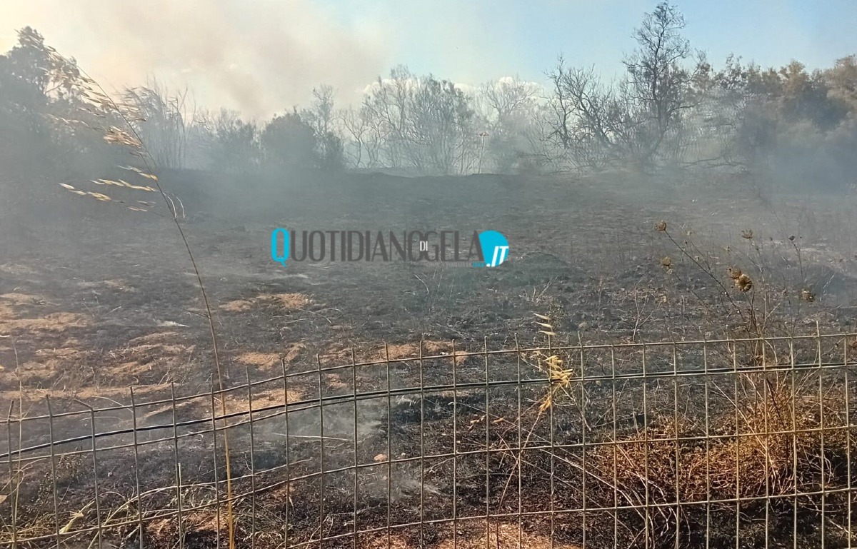 Incendio danneggia anche l'area del Biviere, Giudice: "Sono poche le squadre di intervento nel territorio" - Una delle aree del Biviere colpita dalle fiamme
