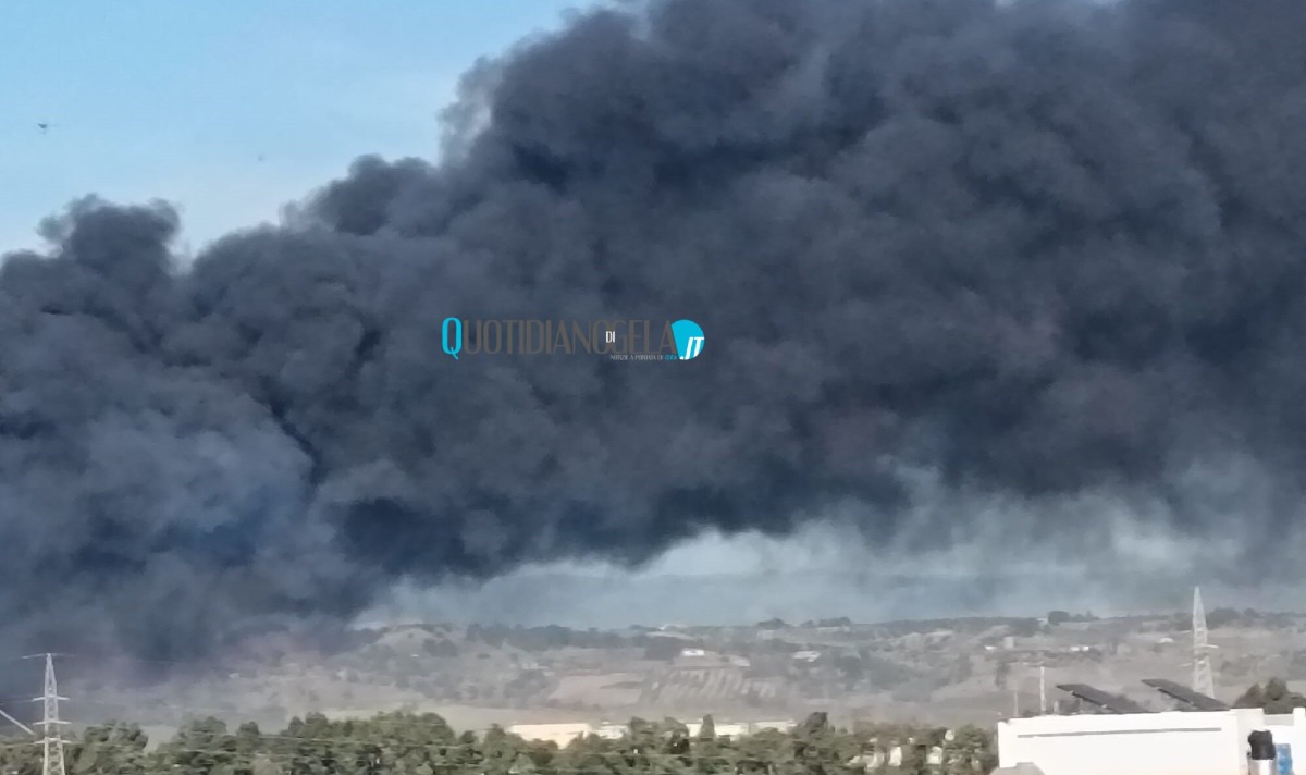 Incendi, Incardona: "La città oggi è stata ferita, roghi sono un atto vile" - 