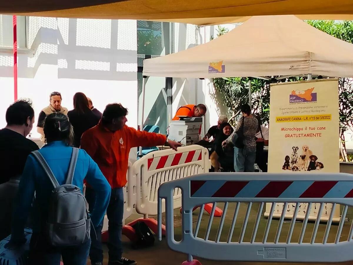 A Palermo microchippatura gratuita per cani e gatti, l’appuntamento al Centro Guadagna - 