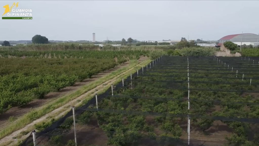 Caserta, frodi in finanziamenti Ue. 12 arresti e sequestri per 9,5 mln - 