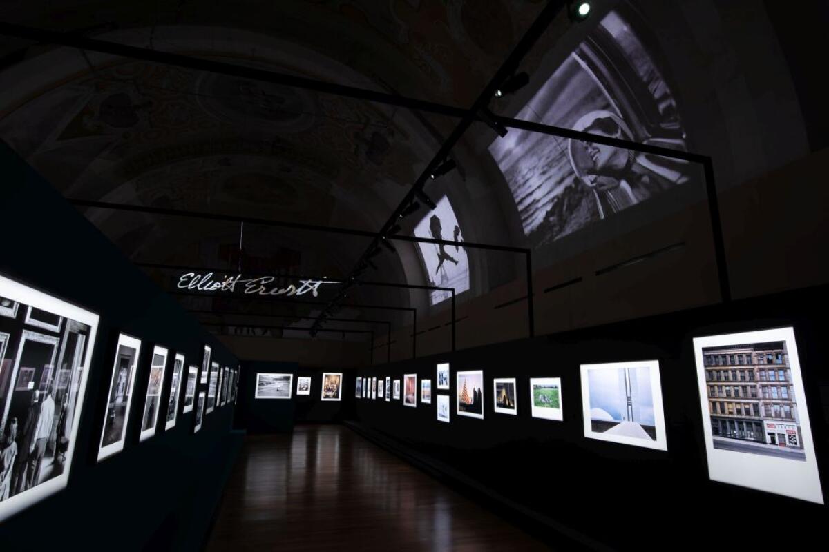 Mostre, al Palazzo Reale di Palermo gli scatti di Elliott Erwitt - 