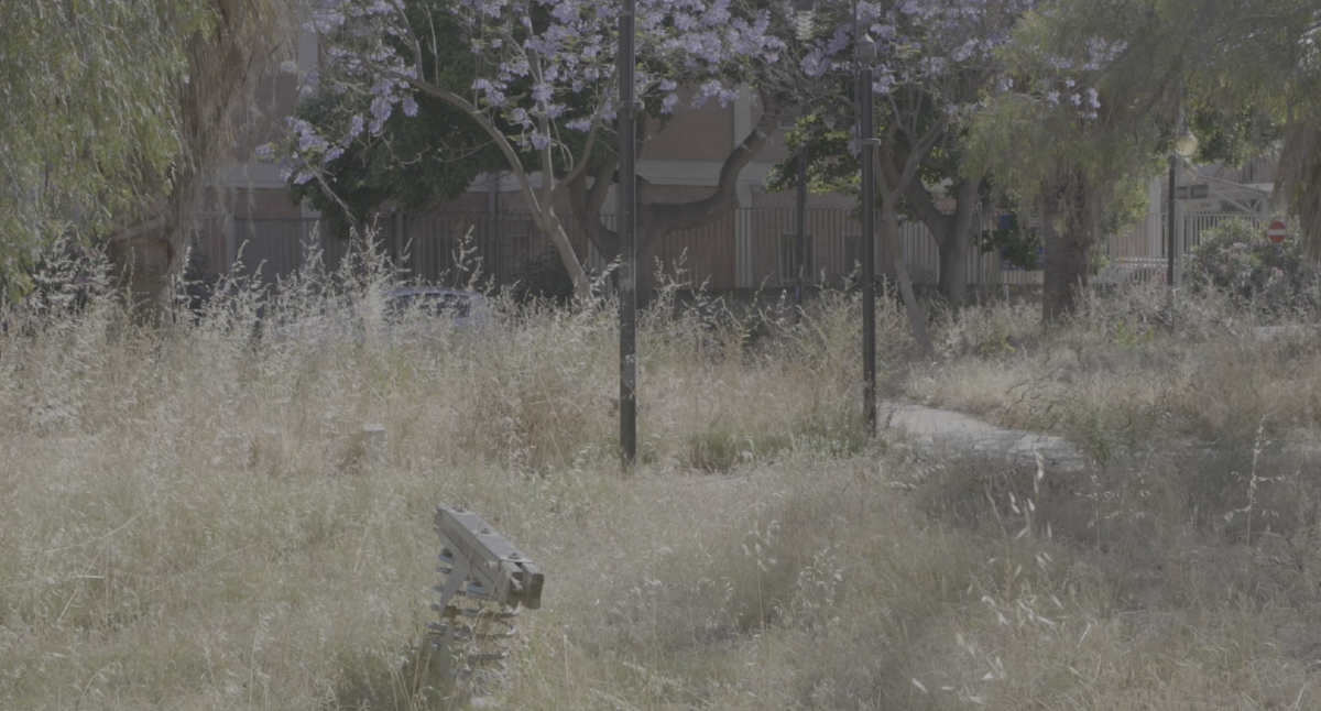 La villetta di via Urali oggi è un giardino abbandonato - 