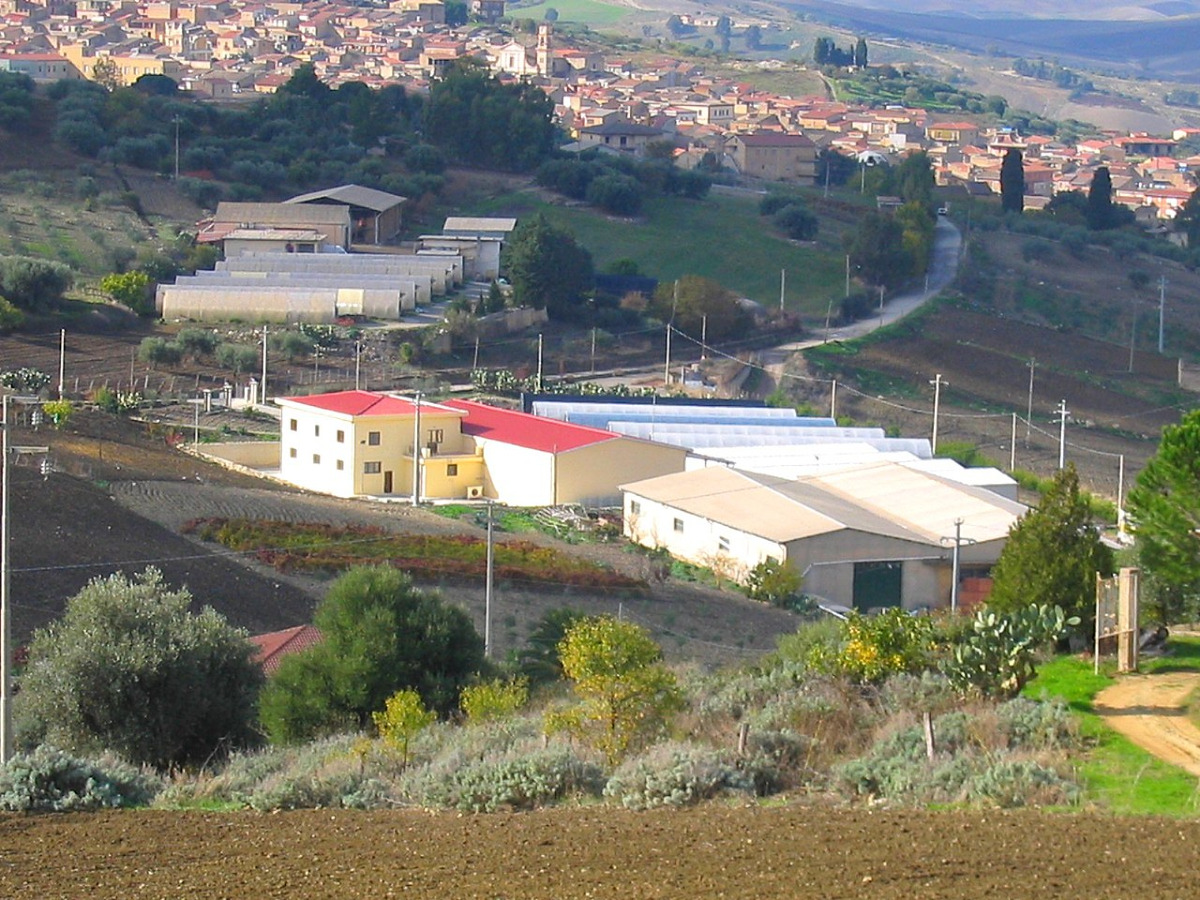 Il borgo nisseno che custodisce storie di rivolte e tradizioni | Raccontato il suo incredibile passato - Foto: Fungaia Mendola/Wikipedia