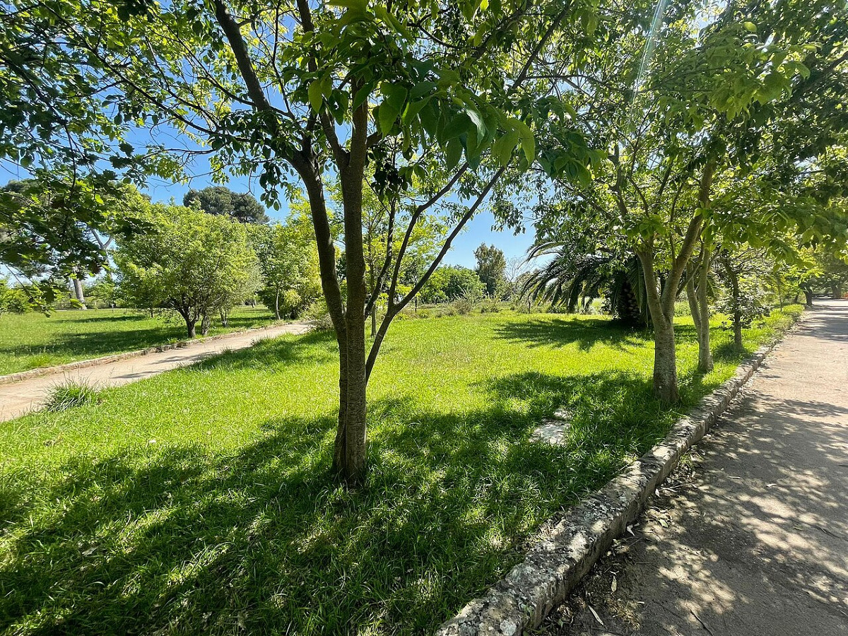 Da zona abbandonata a polmone verde | Il Parco Dubini di Caltanissetta e la sua storia poco conosciuta - Foto: Francescoexplorer95/Wikipedia
