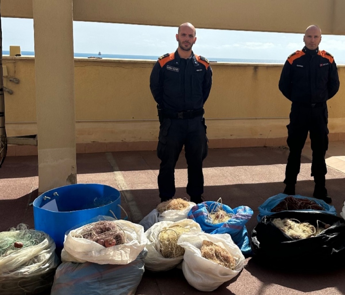Pesca irregolare, controlli e sanzioni: capitaneria ha accertato violazioni -