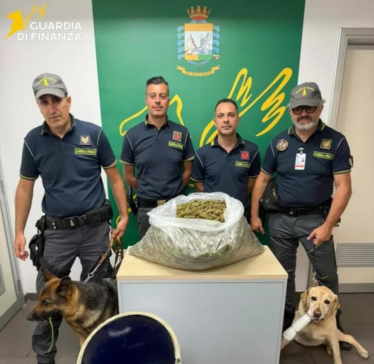 A Catania sequestrati 12 chili di marijuana del tipo ‘skunk’ -