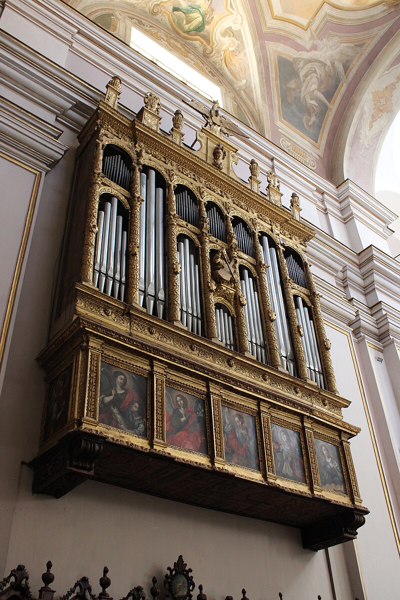 Organo cattedrale