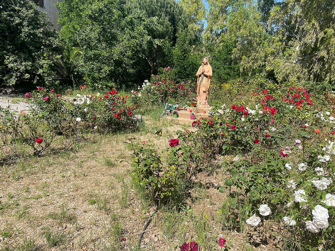 Santuario Dubini