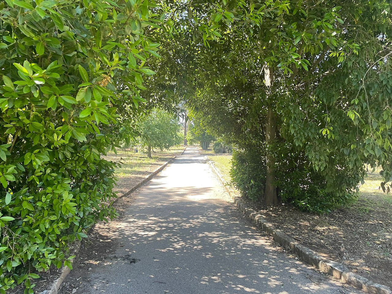 Corridoio del parco
