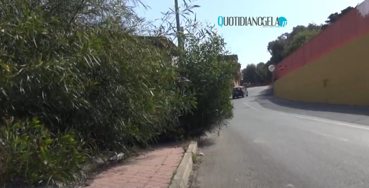 Runner travolto da un'auto, riportò gravissime conseguenze permanenti: a giudizio ex dirigente comunale - Le condizioni di allora lungo il tratto dell'incidente
