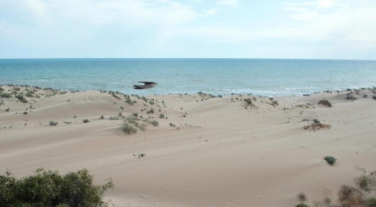 Un malore e il decesso in spiaggia, nulla da fare per un bagnante -