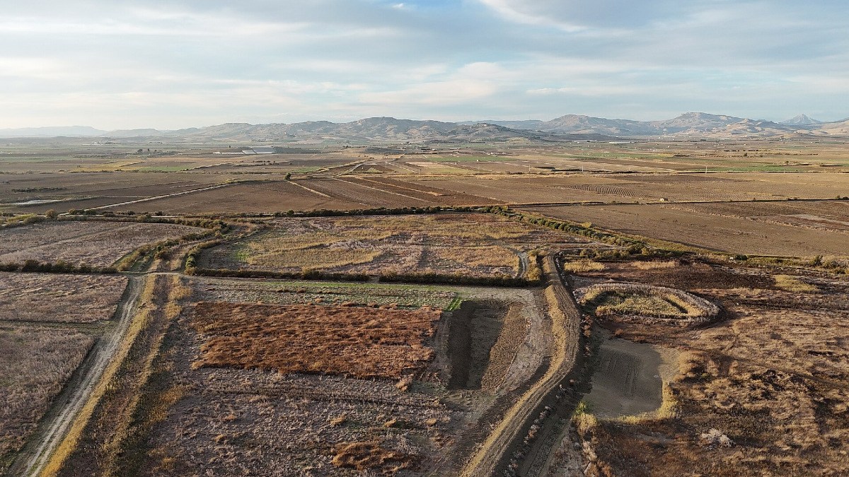 Un luogo che pochi conoscono davvero, la Piana di Gela e le curiosità che ti lasceranno a bocca aperta - Foto: Gianfrancodp/Wikipedia