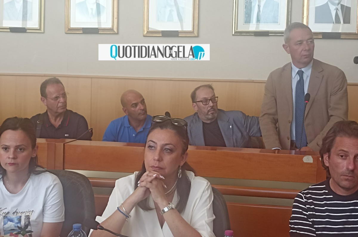 Tagli ospedale, Mancuso "non ci sarà nessuna riduzione": documento, "sospendere rete" - Mancuso durante il suo intervento 