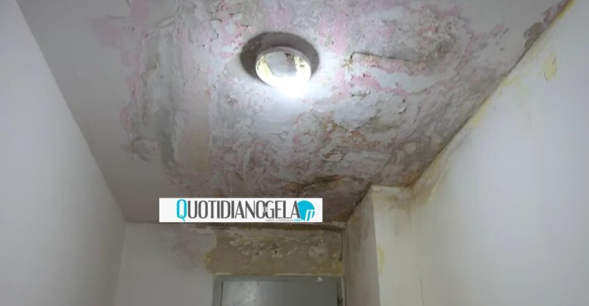 Scavone, palazzine Iacp nel degrado: perdite d'acqua e abbandono -