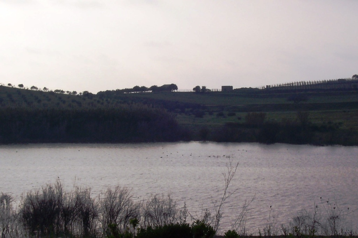 Un ecosistema da proteggere e scoprire: la Riserva di Gela tra flora e fauna rara - Foto: Alessandro451/Wikipedia