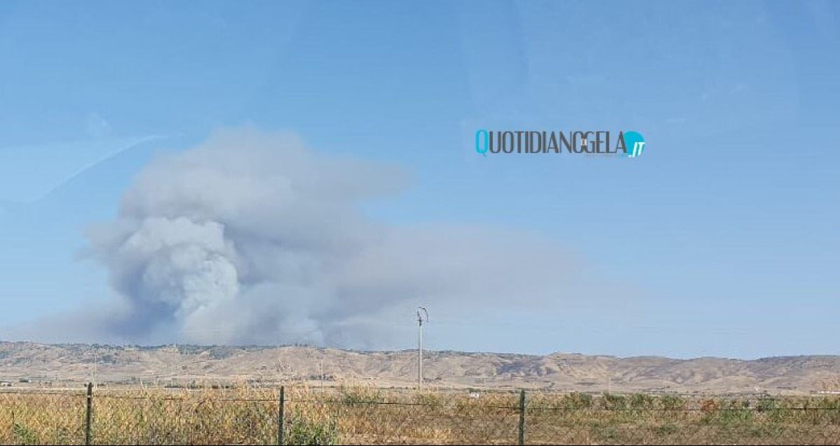 Fiamme in una vasta area rurale, nube di fumo ben visibile anche in città: colpite zone fino a Niscemi - 