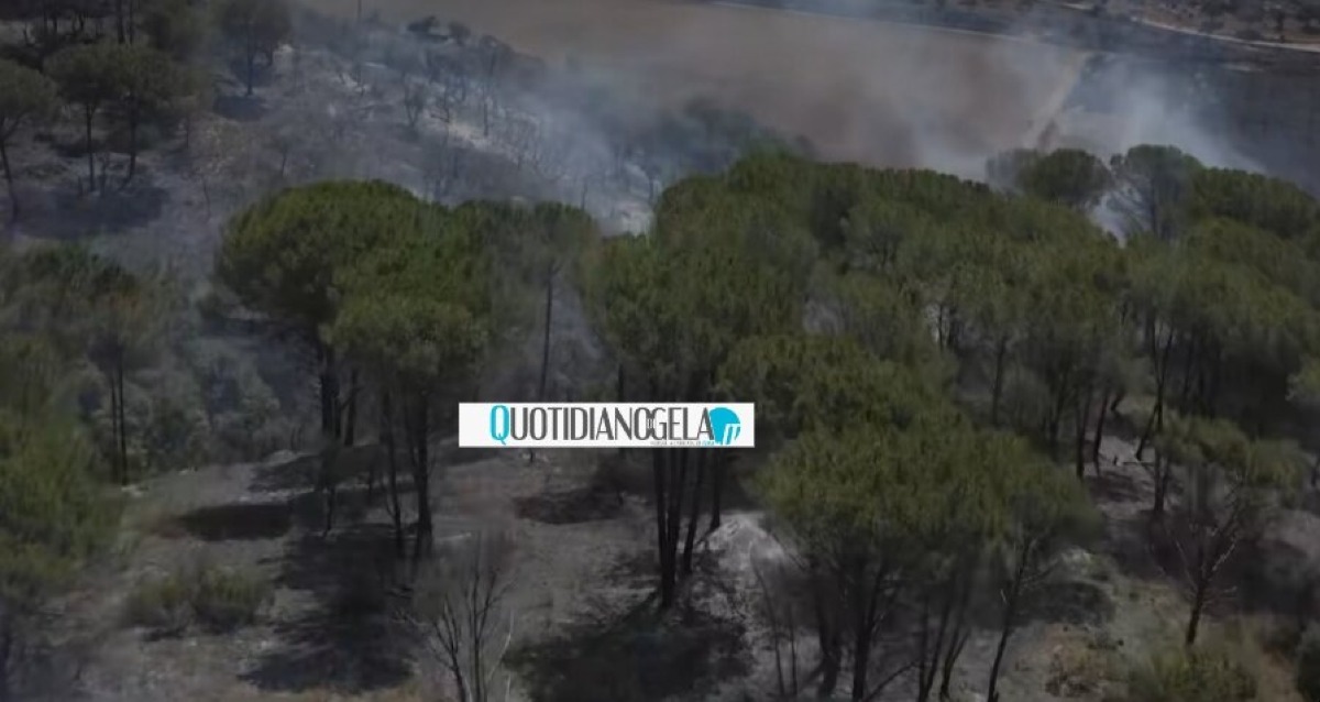 Rogo "Sughereta", procura ha aperto un'indagine: danni enormi nell'area protetta - 