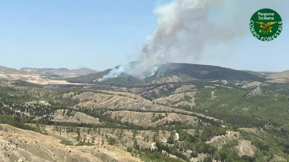 La Sicilia nella morsa degli incendi, oggi altri 83 roghi. Catania la provincia più colpita -