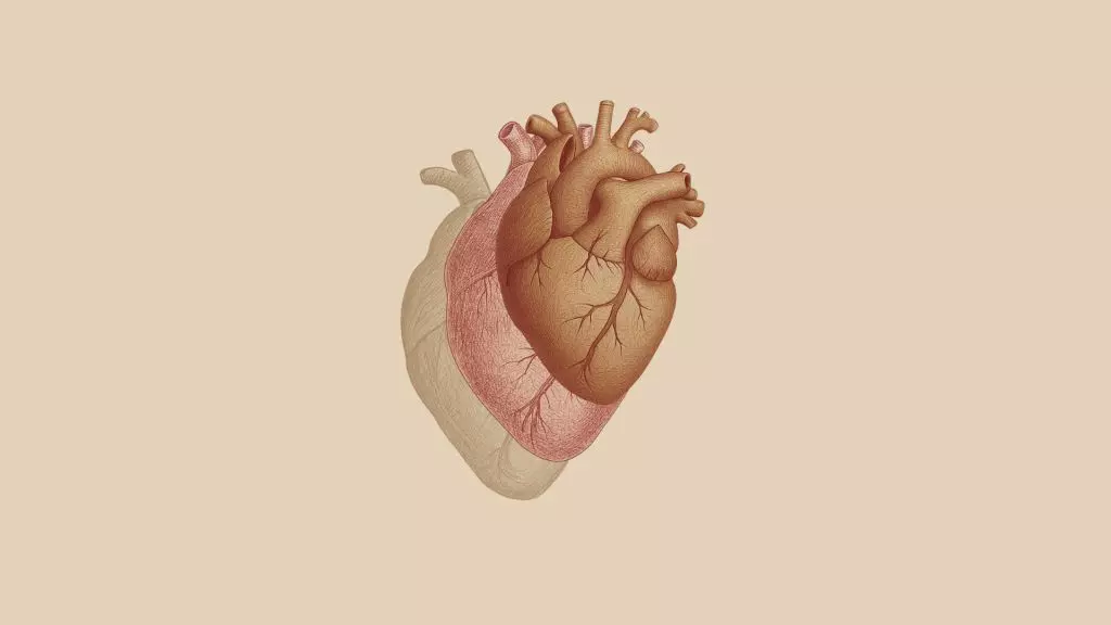 Scompenso cardiaco, nasce il gruppo di lavoro per la diagnosi precoce -