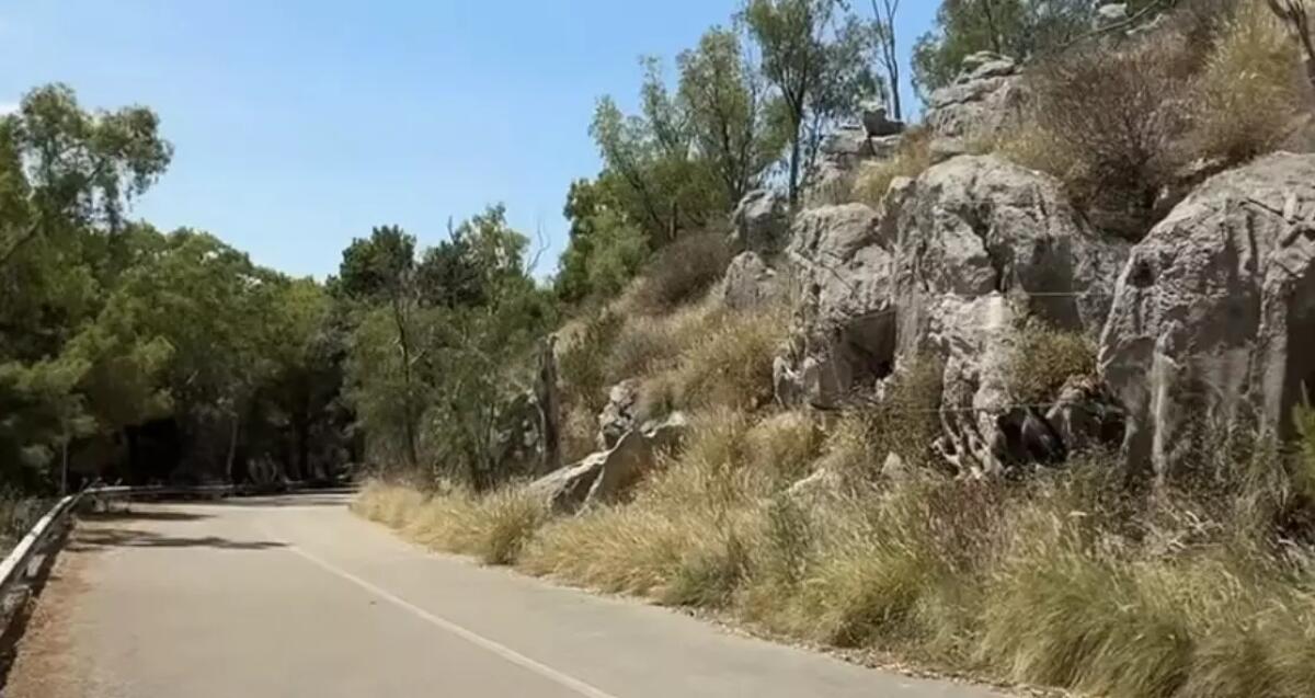 Bando da 1,6 mln per la ‘Panoramica’ di Monte Pellegrino. Schifani “Lavoriamo per restituire alla pubblica fruizione un simbolo di Palermo” - 