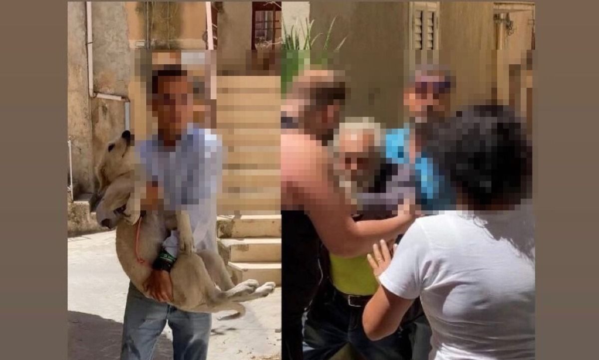 Caso del cane maltrattato a Butera: sospetti sull'autenticità del video  - 
