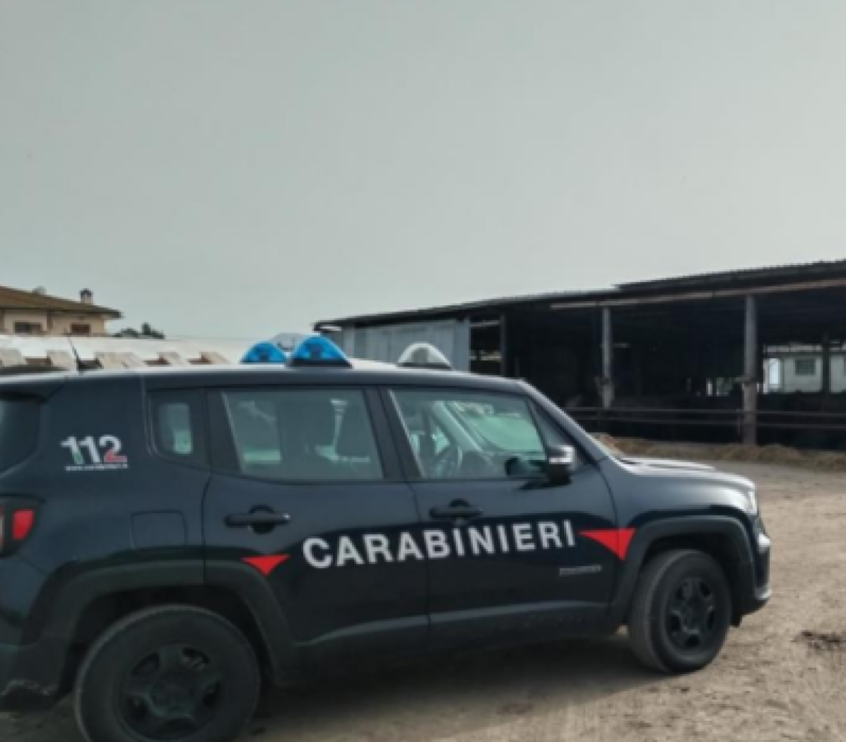 Irregolarità in un'azienda agricola, lavoratori in nero: una denuncia, avviata indagine  - 