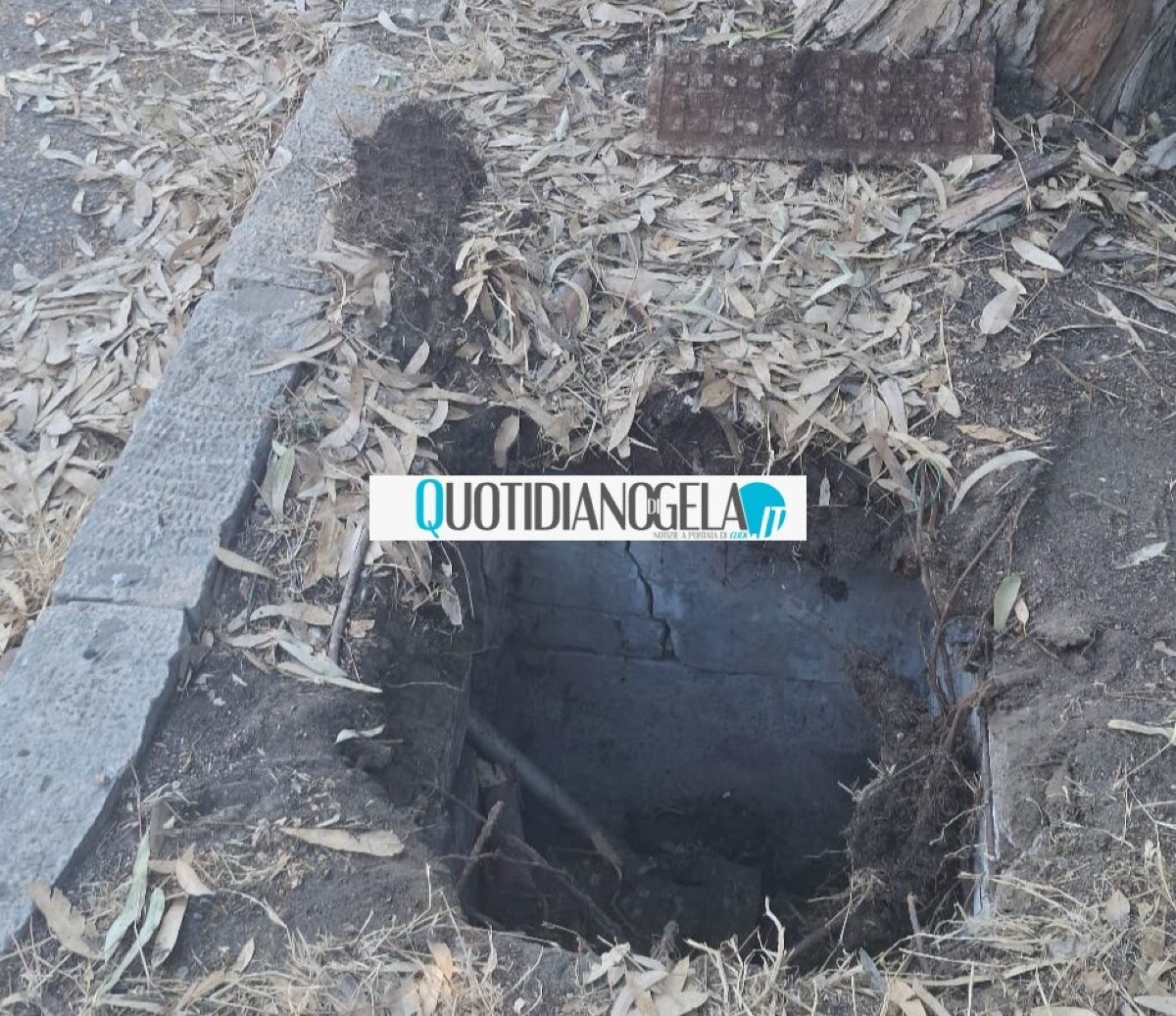 Macchitella, voragine in via Fontanarossa: "È molto pericolosa"