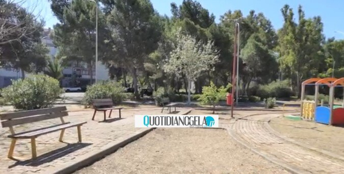 Cavallo, "la riqualificazione di tante zone della città passi soprattutto dalla piantumazione di alberi" - 