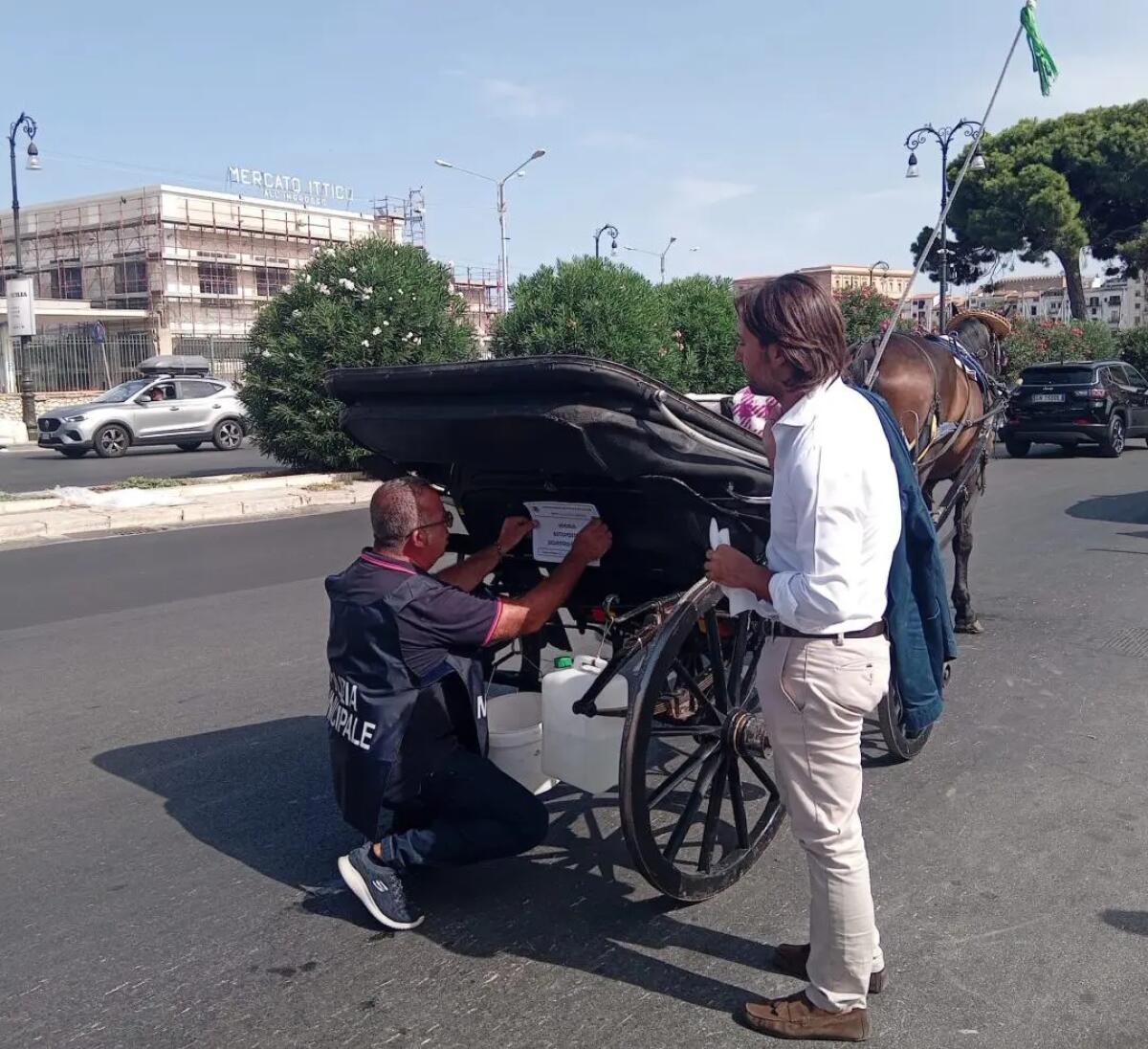 Multato un vetturino a Palermo, non rispettava il divieto di circolazione nelle ore più calde - 