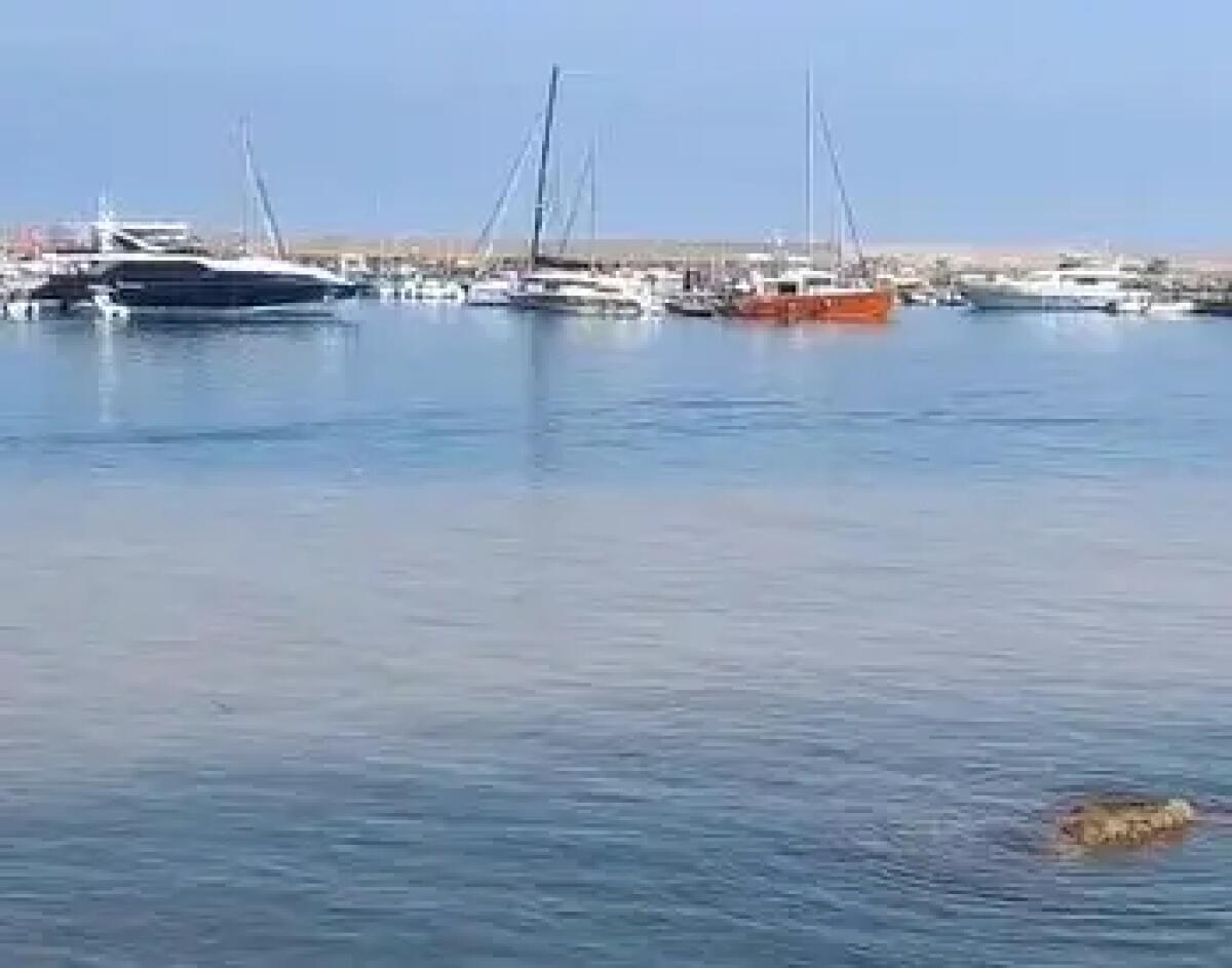Reflui in mare a Cefalù, Sindaco e Amap “Nessun rischio per la balneazione” - 