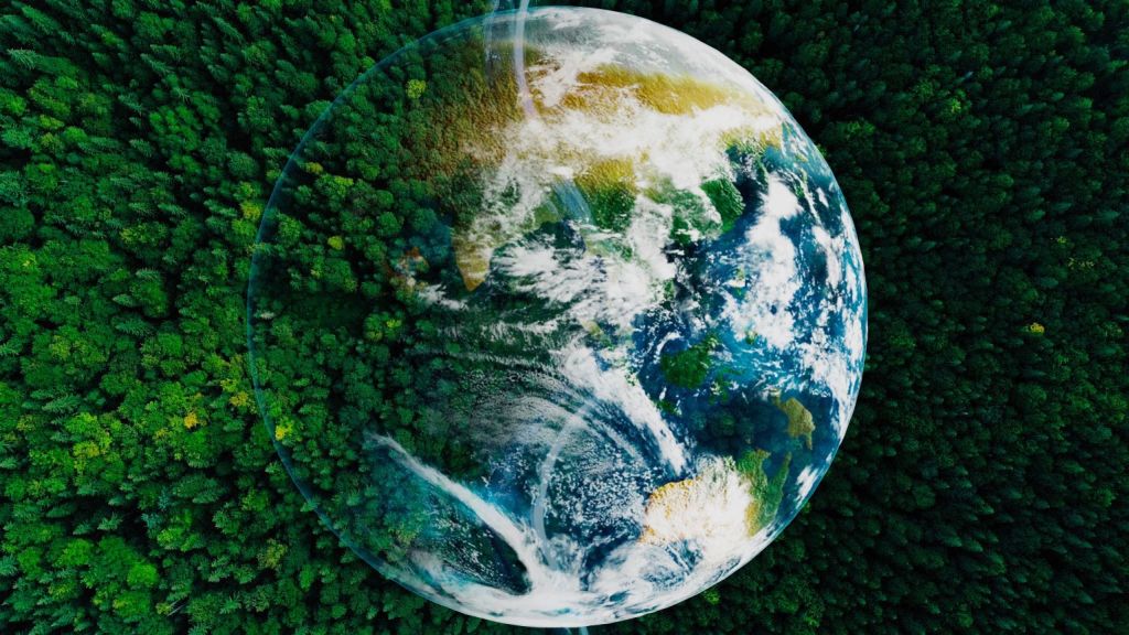 Rifiuti elettronici, LG e Cobat RAEE promuovono il recupero consapevole - 